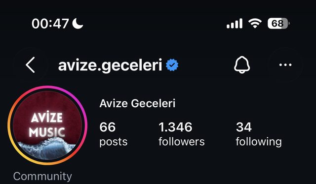 Avize Geceleri Instagram profili, çalıştıktan sonra: 1.346 takipçi