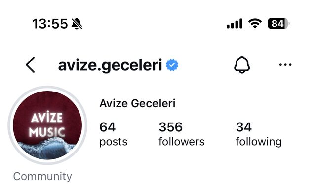 Avize Geceleri Instagram profili, çalışmadan önce: 356 takipçi