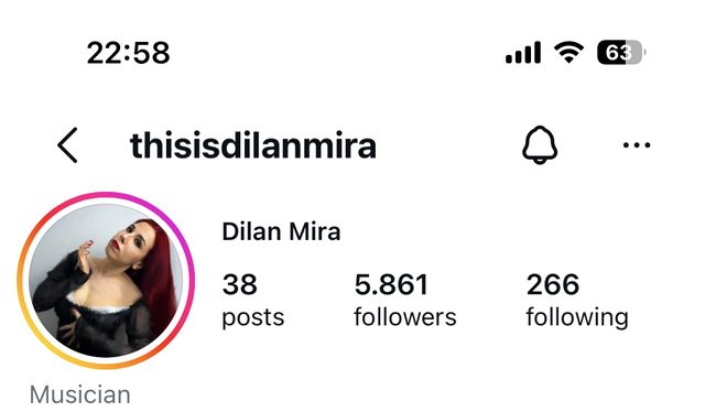 Dilan Mira Instagram profili, çalıştıktan sonra: 5.861 takipçi
